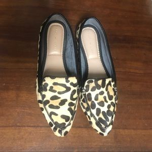 Kelly & Katie leopard flats